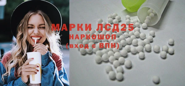 спиды Каменногорск