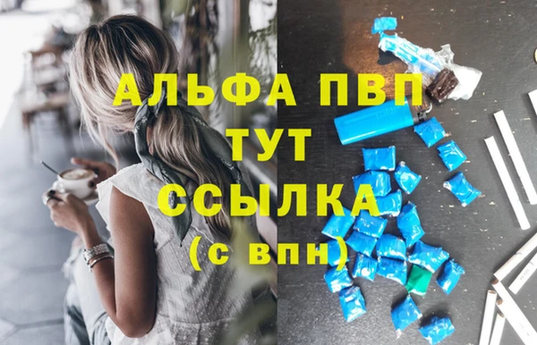 спиды Каменногорск