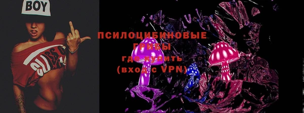 спиды Каменногорск