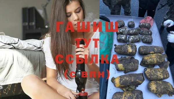 спиды Каменногорск