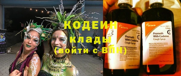 спиды Каменногорск