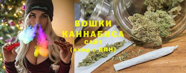 спиды Каменногорск
