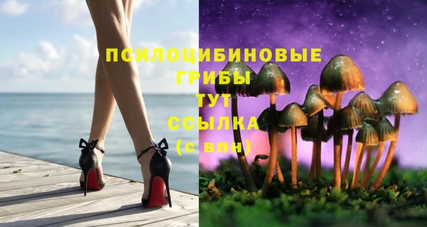 каннабис Каменка