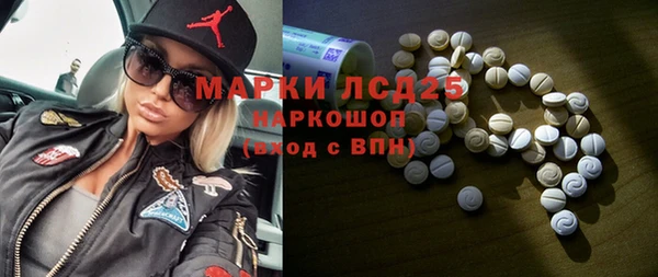 спиды Каменногорск